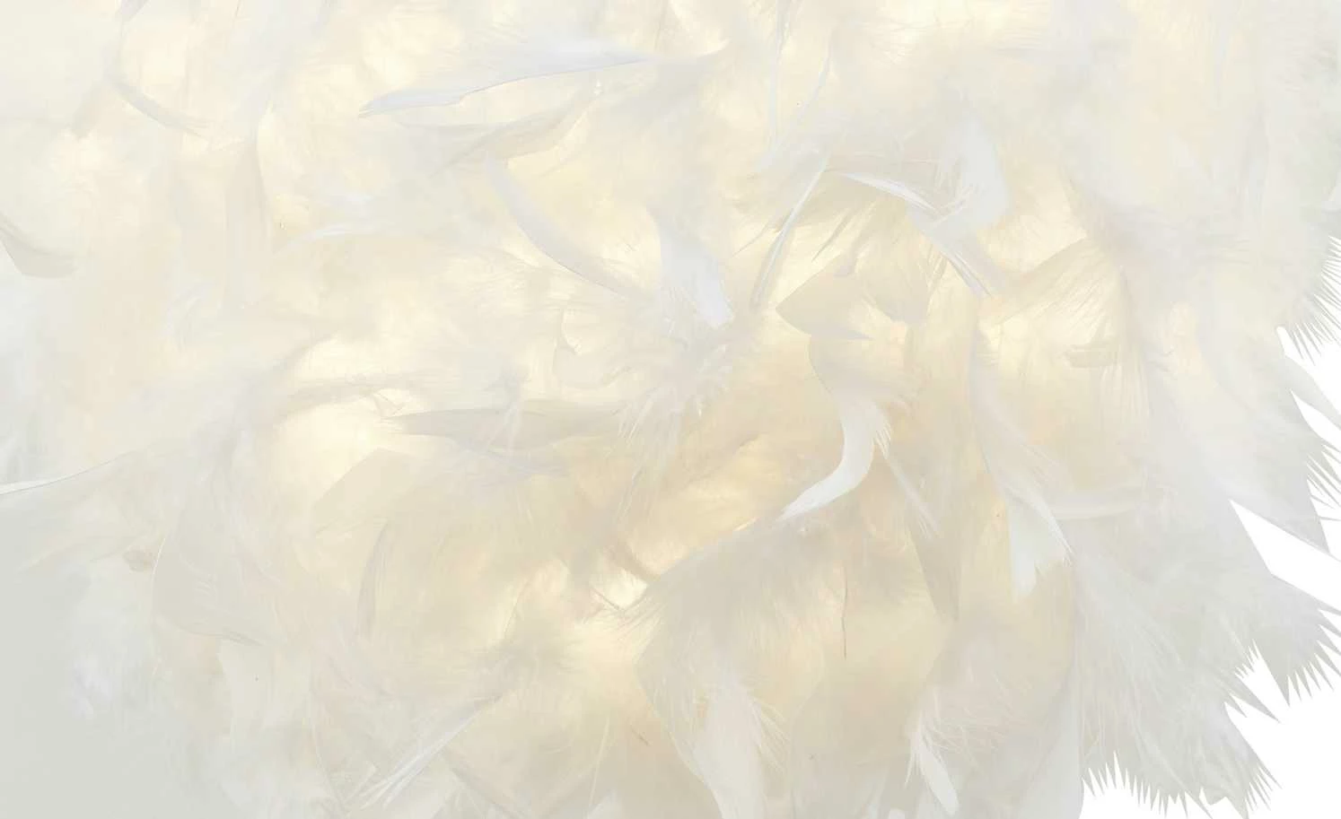 HOME STORY Pendelleuchte, 1-flammig, Federn – Bild 2