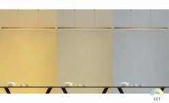 Paul Neuhaus LED-Pendelleuchte, messing-matt mit Touchdimmer