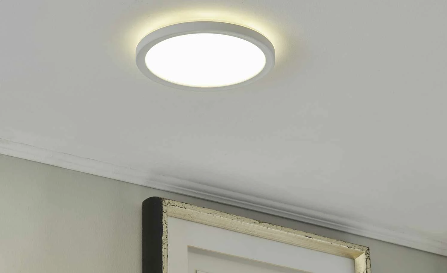 LED-Panel, weiß mit Hintergrundbeleuchtung | 14|W