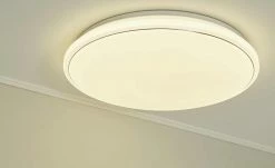 Paul Neuhaus Smart Home-Deckenleuchte, 1-flammig