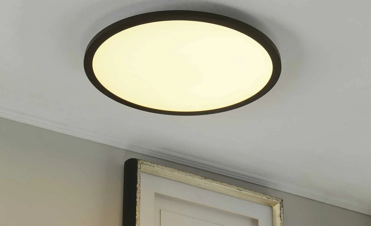 Paul Neuhaus LED-Deckenleuchte, Schwarz, rund