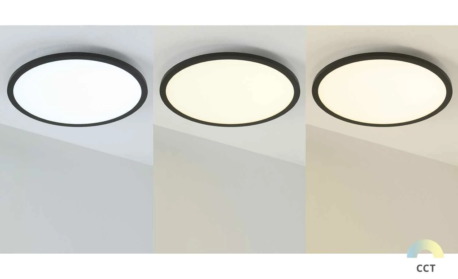 Paul Neuhaus LED-Deckenleuchte, Schwarz, rund – Bild 5