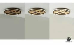 Fischer-Honsel LED-Deckenleuchte braun-rost, rund