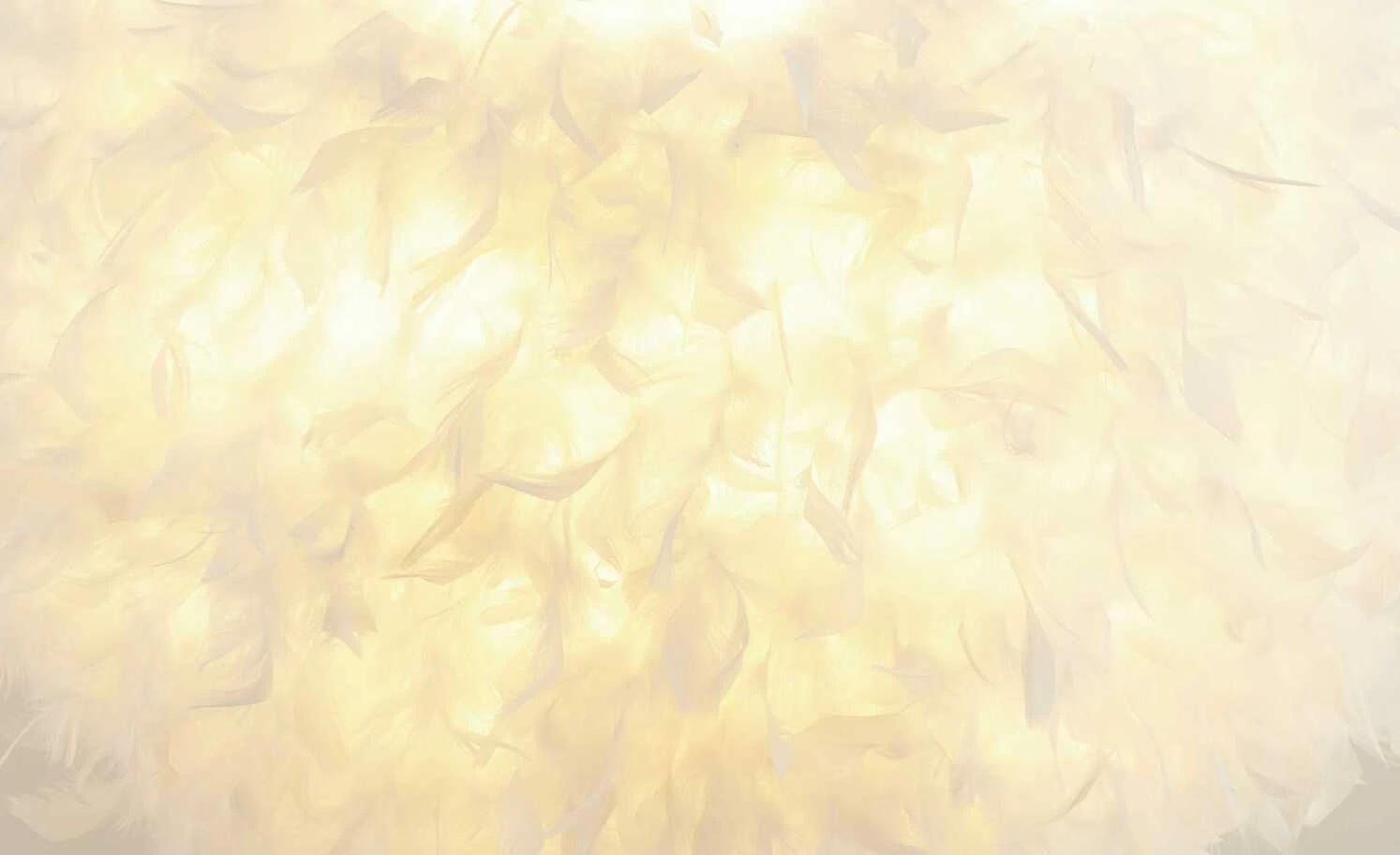 Pendelleuchte, 1-flammig, Schirm aus weißen Federn – Bild 5