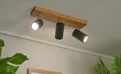 Trio Deckenspot, 3-flammig, schwarz / Eiche