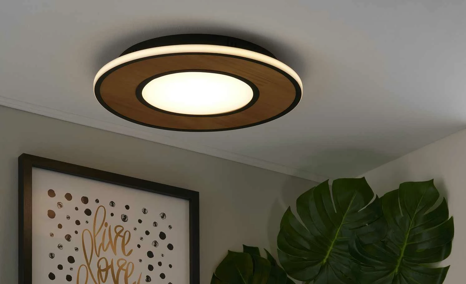 Trio LED-Deckenleuchte, neuseelĂ€ndische Pinie â Bild 2